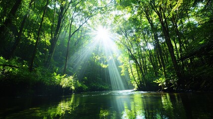 Obraz premium A pristine river running through a dense rainforest, with sunlight filtering through the canopy