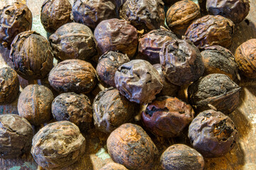 vieilles noix à décortiquer.