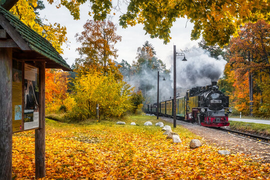 Rasender Roland am Bahnhof Philippshagen auf R&uuml;gen im Herbst