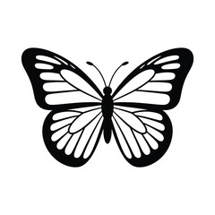 Elegant black and white butterfly illustration with detailed wings