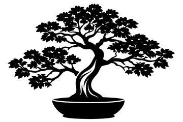 Bonsai Tree