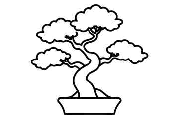 Bonsai Tree