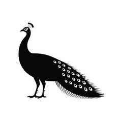 Elegant black silhouette of a peacock with detailed tail feathers