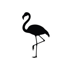 Black silhouette of a flamingo standing on one leg isolated on white