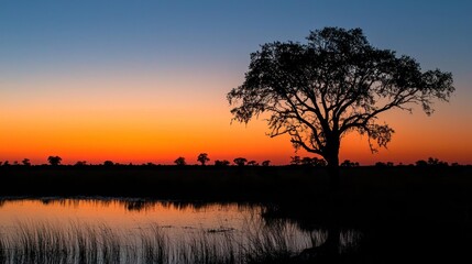 Fototapeta premium A majestic tree stands silhouetted against a vibrant sunset sky, casting a serene glow over a tranquil marshland pond.