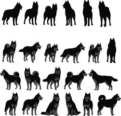 Dog drawing evolution, silhouette to illustration, pet poses, canine anatomy, sketch guide, breed details, posture study, animal art