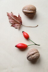 Autumn composition. Fall season concept.