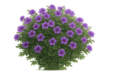 Fototapeta premium Blooming purple flowers creating a vibrant garden bush plant with green leaves and a transparent background