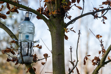Plastikowy karmnik DIY zawieszony na drzewie jesienią © Kacper