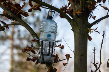 Prosty karmnik dla ptaków wykonany z plastikowej butelki