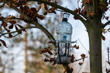 Domowej roboty karmnik dla ptaków z plastikowej butelki © Kacper