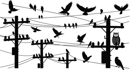 Birds on utility poles silhouette vector, perched and flying illustration, owl on power line artwork, electricity infrastructure concept, urban wildlife interaction scene