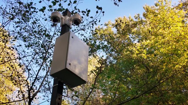A security camera stands tall in a forest, surrounded by vibrant leaves. Suitable for discussions on environmental monitoring or security systems.