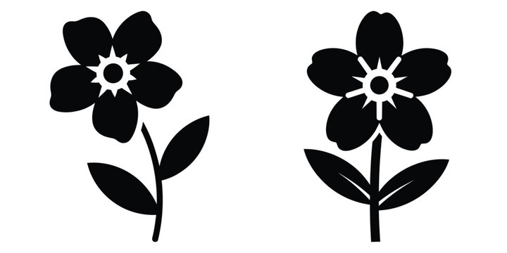 forget me not silhouette flowers isolated on transparent background