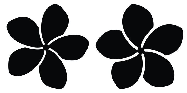 frangipani blossom silhouette flowers isolated on transparent background