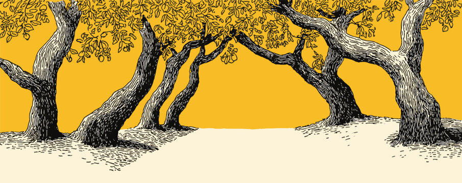 A drawing of trees with a yellow background. The trees are not very detailed, but they are the main focus of the image
