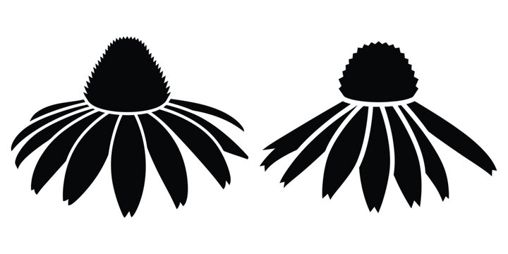 prairie cone silhouette flowers isolated on transparent background