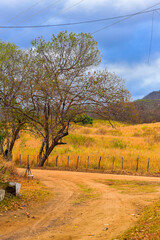 No Dom&iacute;nio Cerrado &eacute; onde ocorre a predomin&acirc;ncia do bioma das savanas no Brasil. Trata-se do segundo maior dom&iacute;nio em extens&atilde;o territorial