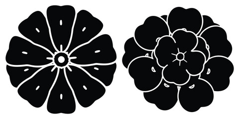 verbena bloom silhouette flowers isolated on transparent background