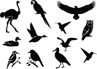 Bird silhouettes, flying birds, perched birds, owl, eagle, parrot, hummingbird, heron, crow, duck, ostrich, seagull, woodpecker, wildlife, vector, clipart, black, nature, avian, isolated