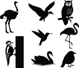 Bird silhouettes, ostrich, owl, flamingo, woodpecker, hummingbird, swan, flying bird, perched bird, wildlife, nature, vector, black, isolated