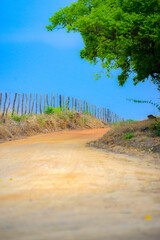 No Dom&iacute;nio Cerrado &eacute; onde ocorre a predomin&acirc;ncia do bioma das savanas no Brasil. Trata-se do segundo maior dom&iacute;nio em extens&atilde;o territorial