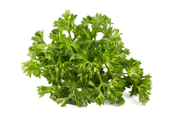 Parsley leaf or Petroselinum crispum leaves isolated on white background ,Green leaves pattern
