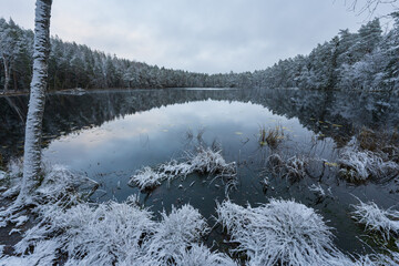 Beautiful early winter landscape at Lake Suur Kaksjarv in Estonia, with a snow-covered pine forest reflecting in the calm, cold water.