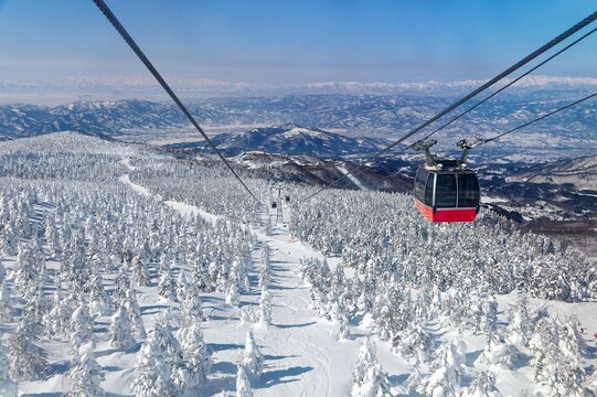 Scenic cable cars fly over forests of giant Juhyo (ice trees or snow monsters) on the snowy slope under blue clear sky on a sunny winter day in Zao hot spring and ski resort in Yamagata, Tohoku, Japan