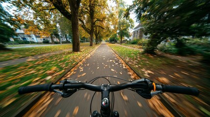 A view from the handlebars of a bicycle riding down a tree-lined path covered in autumn leaves. The scene captures the essence of fall and outdoor activity.