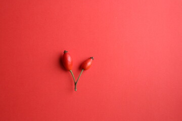 Fresh rosehip berries on a red background.