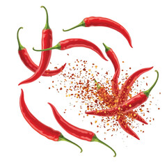 Vector illustration of red chili pepper isolated on, top view