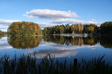 Colorful autumn forest on horizon and beautiful reflection of trees in water. Lapinskie Lake, Lapino, Kashubia, Poland