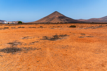 Desert landscape with palm trees on Fuerteventura