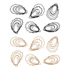 Hand Drawn Oyster Shells Vector Set - Seafood, Pearl, and Ocean Delicacy Engraving