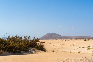 Fototapeten Naturpark Natural park Dunes of Corralejo on Fuerteventura  © LCH photo gallery