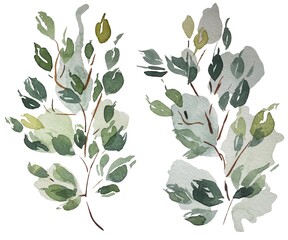 Watercolor leaves, branches, tree, hand drawn image