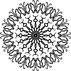 round lace pattern