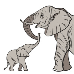 Obraz premium Adorable baby elephant reaching its trunk up to touch its mother elephant in a sweet loving gesture