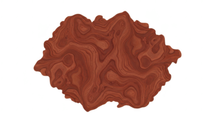 Romania Shape With Wood Grain Texture on White