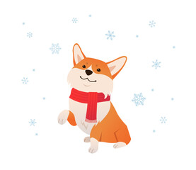 Dog wearing Red Scarf on white background. Winter seasonal illustration of a Corgi character playing with snowflakes. Cozy holiday design with cartoon pet dog