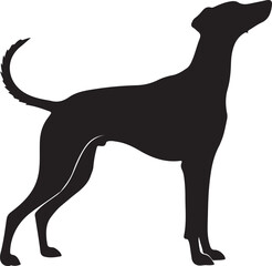Silhouette of a fluffy dog standing