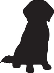 Silhouette of a fluffy dog standing