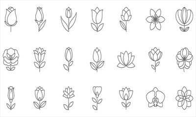 Fototapeta premium Set of Elegant Flower Icons and Floral Elements in Linear Style for Design and Decoration