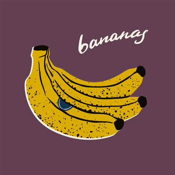 Hand drawn banana banch in bright colors. Banana trendy fruit poster. Flat vector illustration