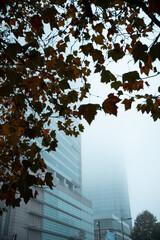 autumn in the park, street in the city landscape evening autumn 