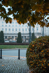 autumn in the park, street in the city landscape evening autumn 