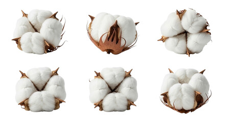 Cotton bolls on black background
