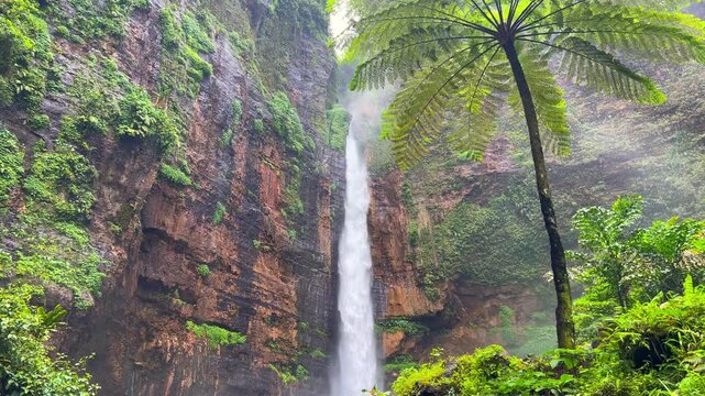 Koban Kapas Biru is a waterfall in the tropical jungles of East Java, descending from a high cliff into a lush green canyon surrounded by tropical forests with vibrant vegetation.Lumajang River. 4К	