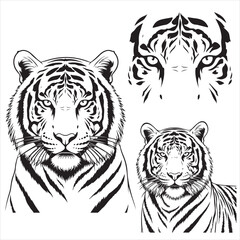 Regal Tiger Head and Face Markings Set